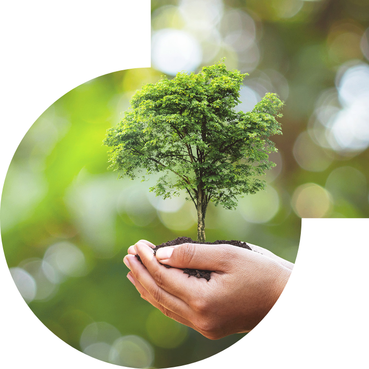 关怀人类、文化、环境与社会